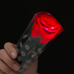 Rosa con luce LED