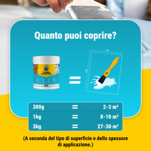 Alternative view of RHINOFIX Wateraegis – Sigillante impermeabilizzante trasparente per qualsiasi superficie (formati diversi)